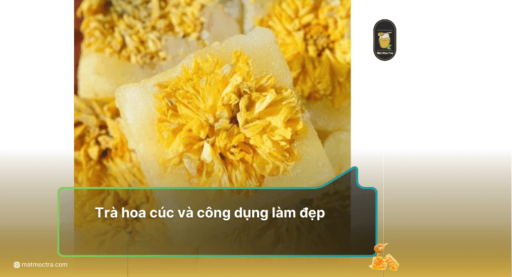 Trà hoa cúc và công dụng làm đẹp