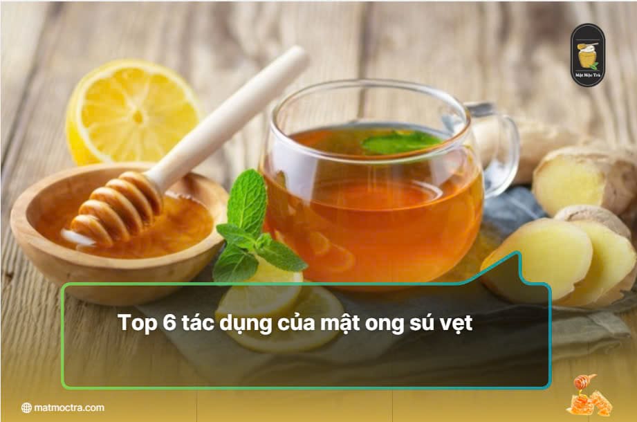 top-6-tac-dung-cua-mat-ong-su-vet (1)