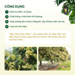 Công dụng của mật ong hoa nhãn