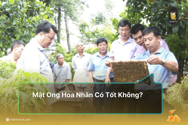 Mật Ong Hoa Nhãn Có Tốt Không